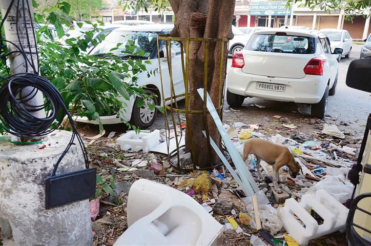 Jalandhar: Poor sanitation, parking woes at PUDA complex irk visitors
