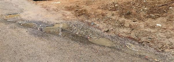 Leaking pipe ruins Palampur roads, departments pass buck