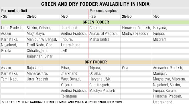 Green and Dry fodder Demand may reach 1,012 and 631 mil tonnes by 2050 - Dairy News 7X7