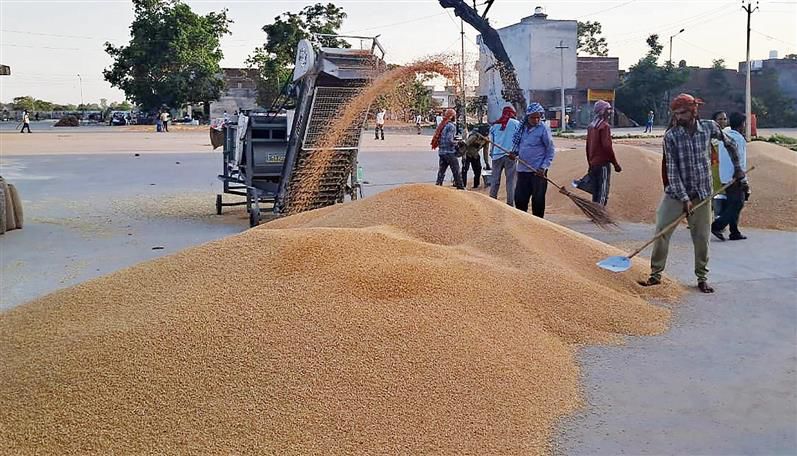 Ensure lifting of procured wheat in 72 hours: DC