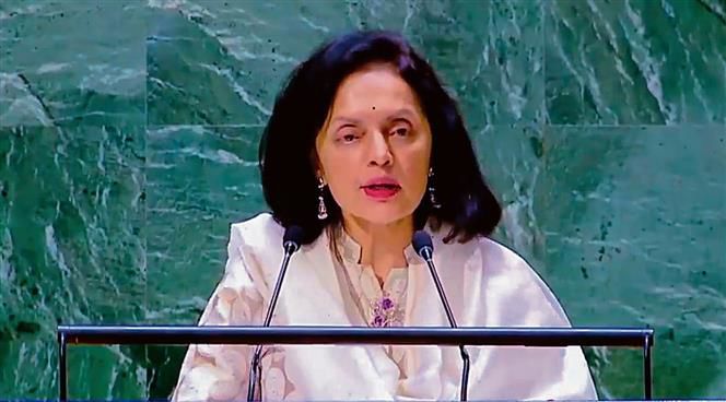 Need reformed council that better reflects diversity in UN, says India