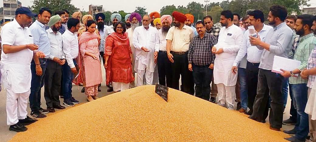 DC inaugurates procurement of wheat at grain market in Sirhind