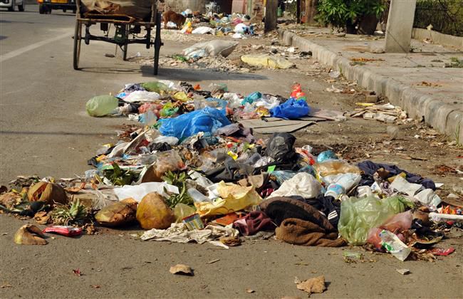 Garbage collection yet to be streamlined in holy city