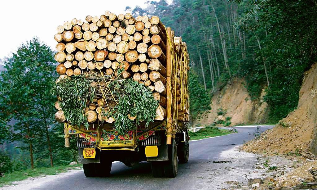 Una: Now, get online permits to transport forest produce through govt portal