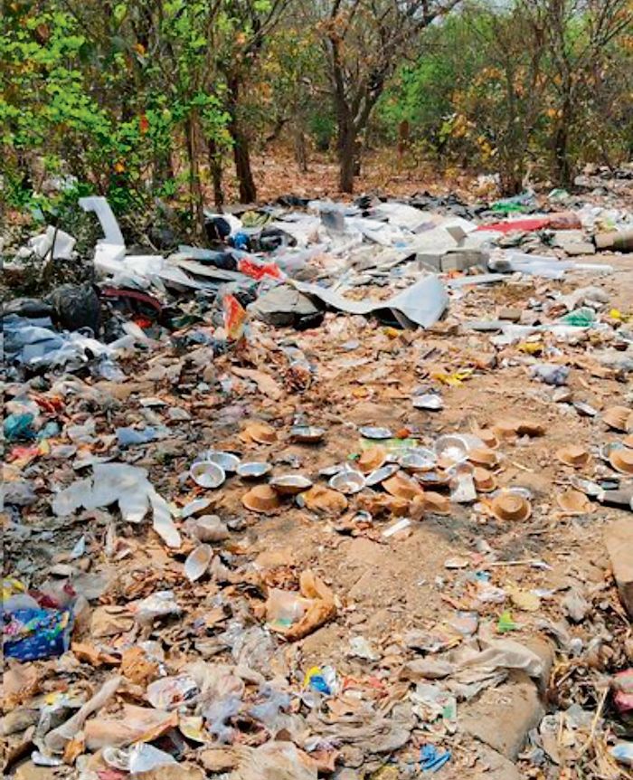Gurugram: Trash dumped on green belts