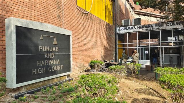 Court’s duty is not merely to conclude trial, but seek truth: Punjab and Haryana High Court