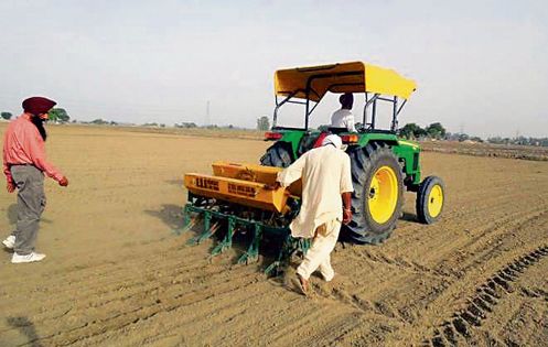 Direct seeding of rice needs a fillip to improve yield