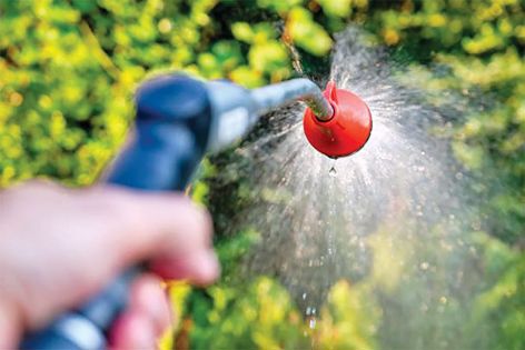 Chandigarh: 17 challaned for wasting water