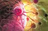 New immunotherapy to fight cancer, keep healthy cells safe