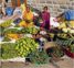 Food security lies in wild plants, says Mandi botanist Tara Devi