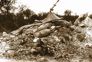 Mock drills across state mark Kangra earthquake of 1905