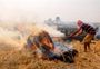 NGT seeks report from Punjab government on how it will achieve target to reduce stubble burning incidents