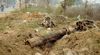 Probe finds illegal felling of 169 trees in Jhajjar village