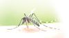 Panchkula Health Dept takes steps to curb malaria