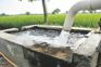 Scientists form group to save groundwater