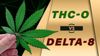 THC O vs Delta 8