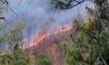 Rising mercury triggers forest fires
