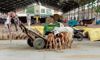 Stray animals a concern at Sirsa grain market
