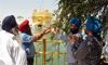 PAU experts conduct health check of  ‘ber’ trees at Golden Temple