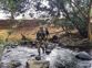 Silence in air, bullet marks on trees at Chhattisgarh’s encounter site where 29 Naxalites were killed