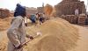 Farmers worried over slow pace of lifting  procured wheat