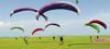 Tandem paragliders hone skills at Pong wetland