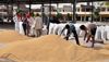 1,105 MT of wheat arrives in mandis