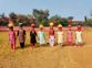 60 Charkhi Dadri villages reverse gender ratio trend in favour of girls