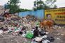 Rinku goes live to show poor waste mgmt in Jalandhar
