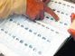 First randomisation of polling staff for Lok Sabha poll held