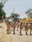 Haryana, ITBP cops march in Ballabhgarh