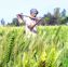 Nabard, RBI wing join hands over farm loans
