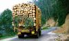 Now, get online permits to transport forest produce through govt portal