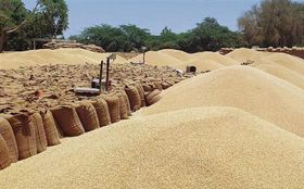 Speed up wheat lifting in mandis, officials told