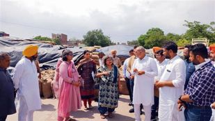 DC directs officials to speed up lifting of procured grain from Sirhind market