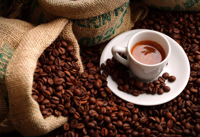 Coffee exports rise 12% to $1.28 billion