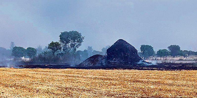 8 stubble-burning incidents reported in Palwal since April