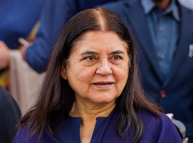 Maneka can hope to retain Sultanpur in absence of SP-BSP alliance