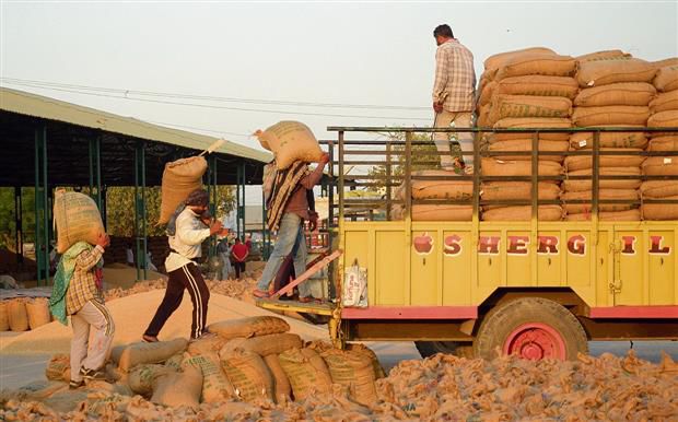 Procurement: Rs 918 cr disbursed to farmers