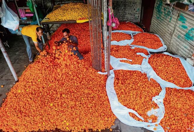 As demand soars during campaigning, prices of flowers skyrocket in Ludhiana