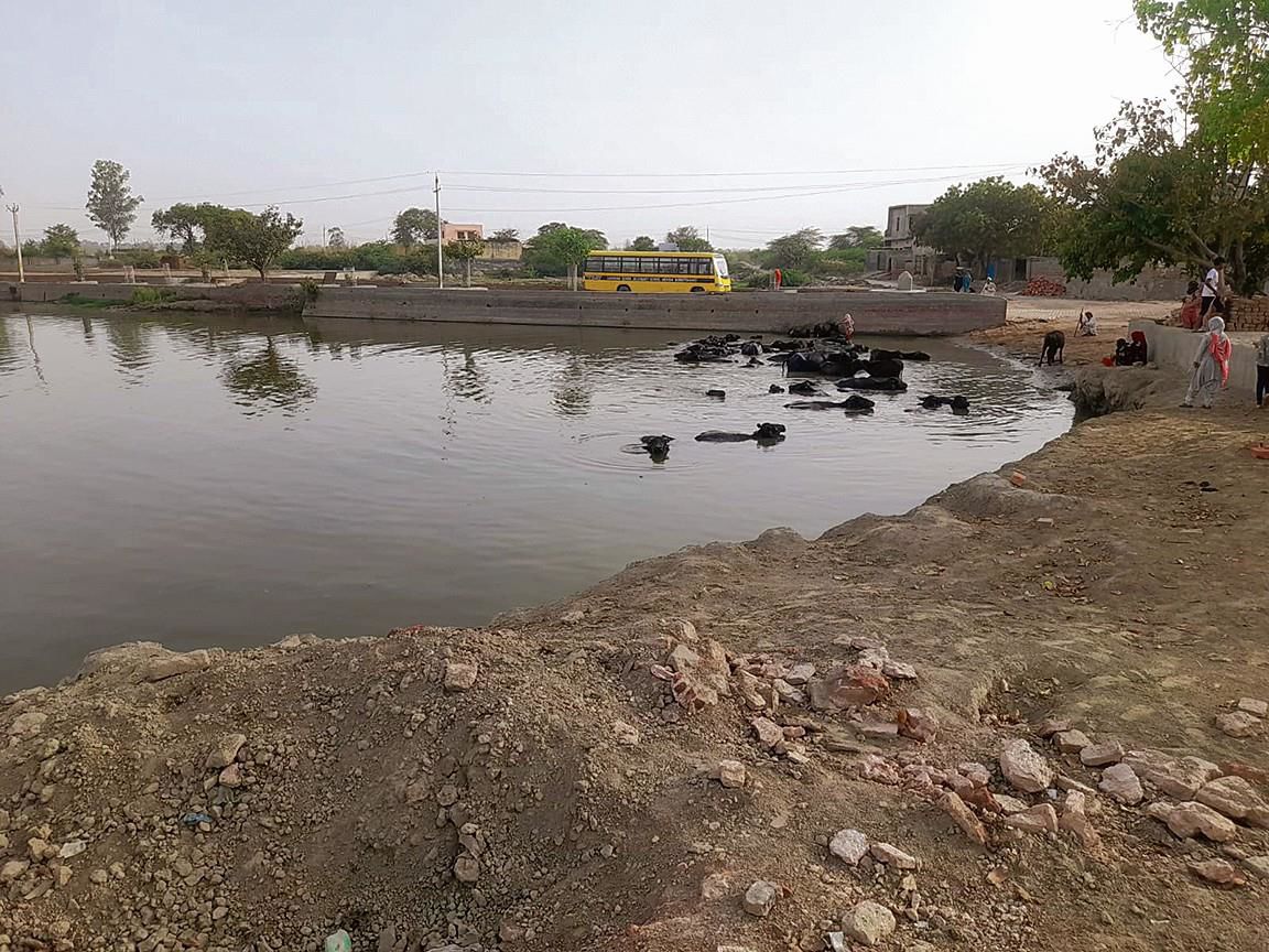 Rohtak: Amrit mission to clean ponds bogged by encroachments, filth