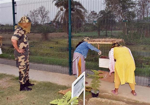 Replicate BSF’s ‘beehives on border fence’ model across country, MHA tells CAPFs
