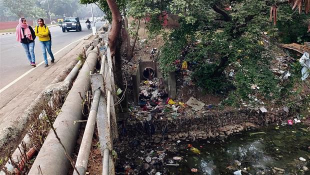 Chandigarh: National Green Tribunal directs civic body to regularly monitor N-Choe for sewage flow