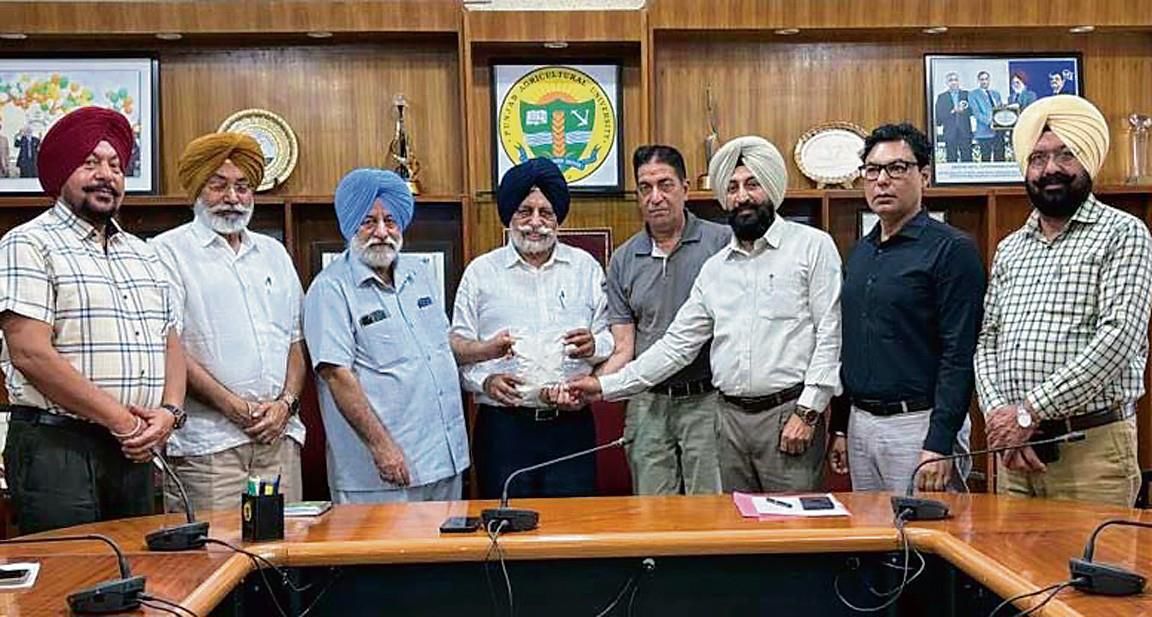A first: Punjab Agricultural University's biocontrol agent for ‘foot rot’ disease in basmati registered with CIBRC