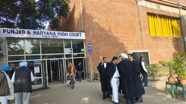 Relieve unqualified college teachers: High Court directs Haryana