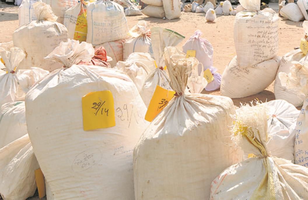 1,260 kg poppy husk seized from truck in Hanumangarh
