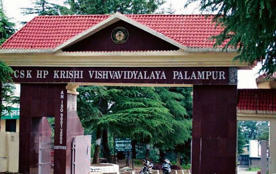 Palampur: Row over panel set up for HP Agriculture University V-C’s selection
