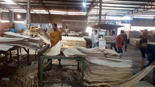 Plywood prices go up by 5% after increase in cost of wood