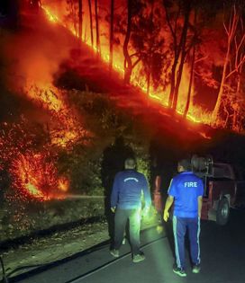 Supreme Court to hear on May 8 plea on Uttarakhand forest fires