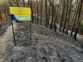 Forest Dept’s Swarnim Vatika reduced to ashes